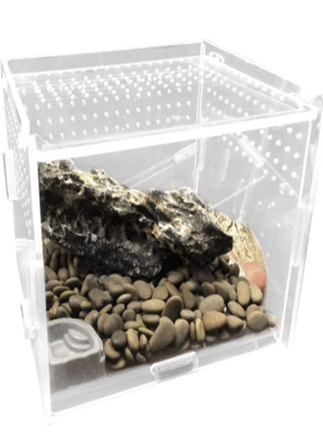 La La Pet® Acrylic Transparent Reptiles Terrarium Spider Breeding Box for Lizard Bearded Dragon Frog Chameleon Geckos Snails Hermit Crabs - Image 1